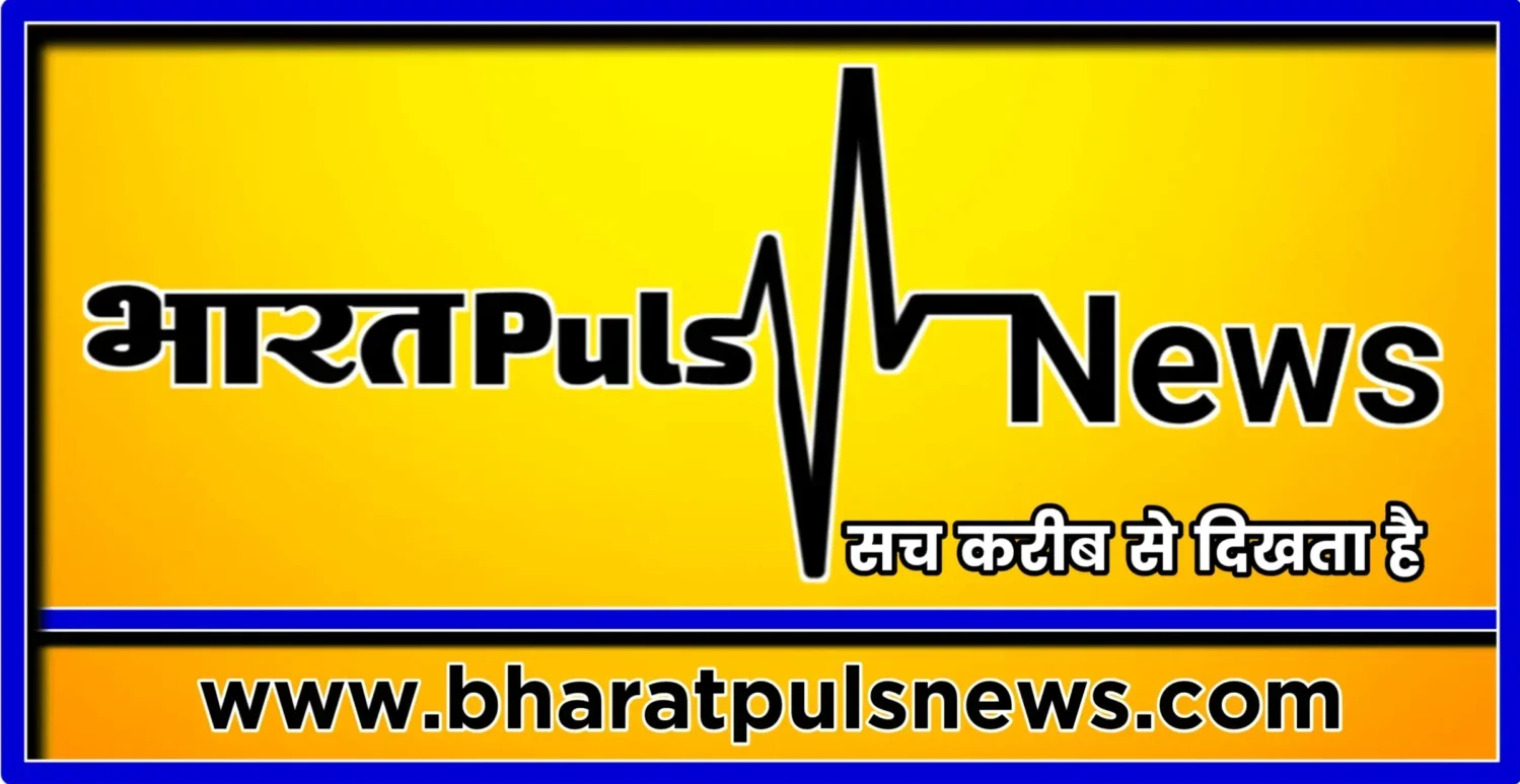 Bharat Puls News logo